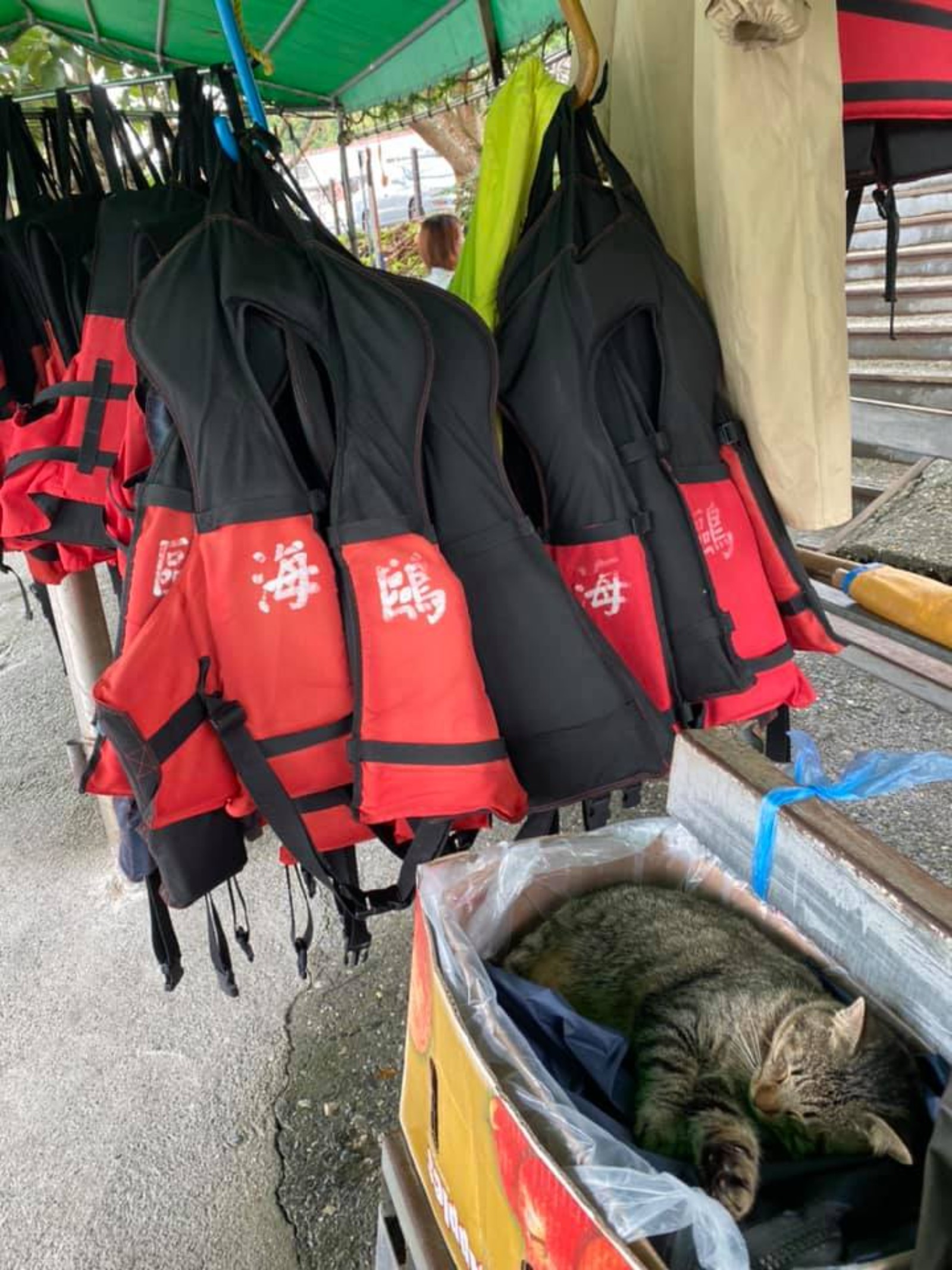 鯉魚潭潭西水域船舶聯合商行